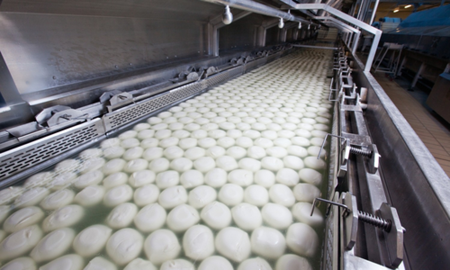 Produzione e controllo qualità della mozzarella 
