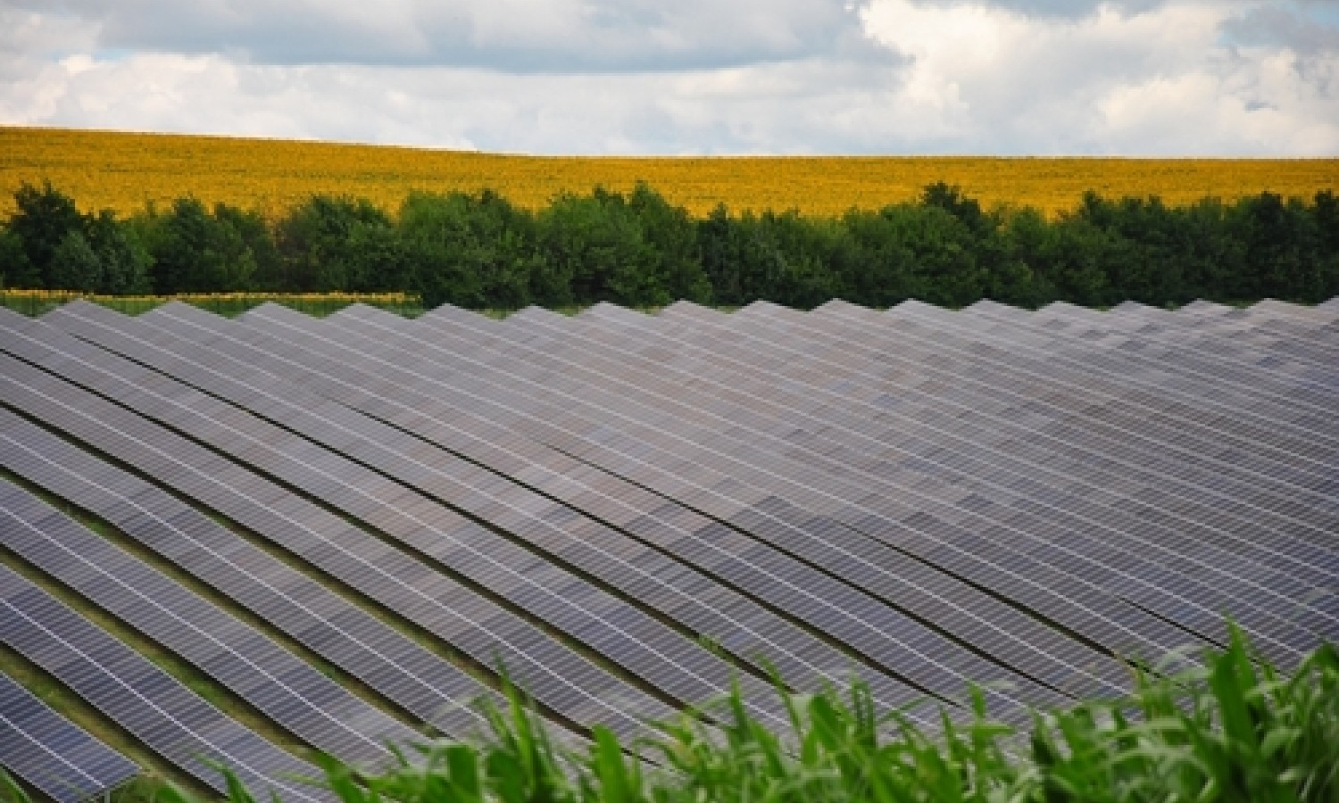 Fotovoltaico, confermato il divieto nelle aree agricole