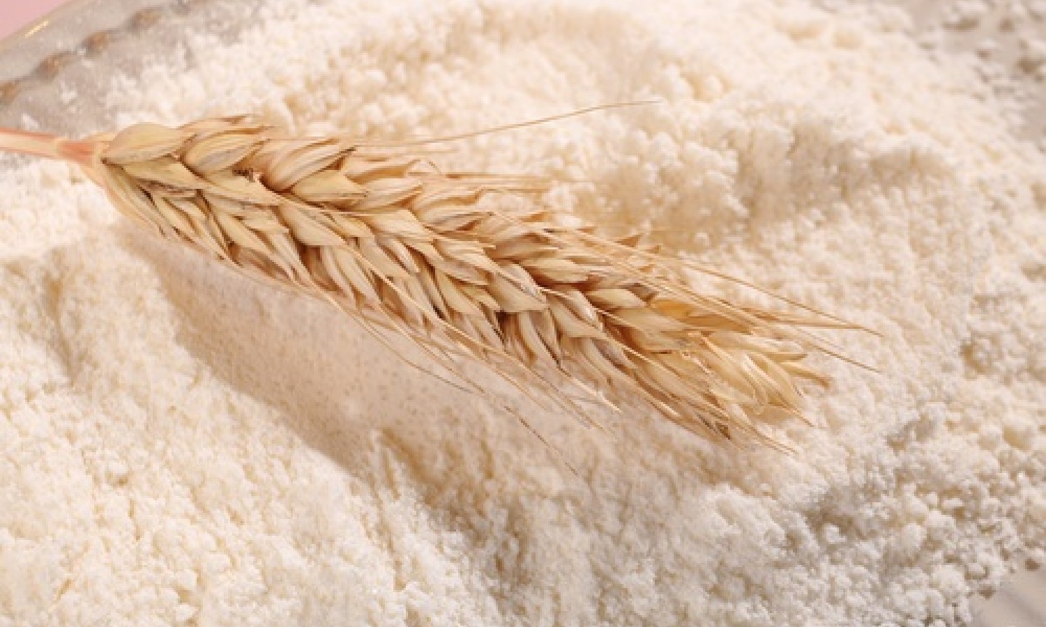 Frumento tenero in crescita e di qualità