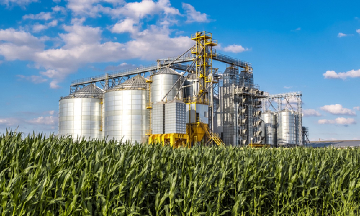 Agricoltura italiana, vent’anni di trasformazioni 