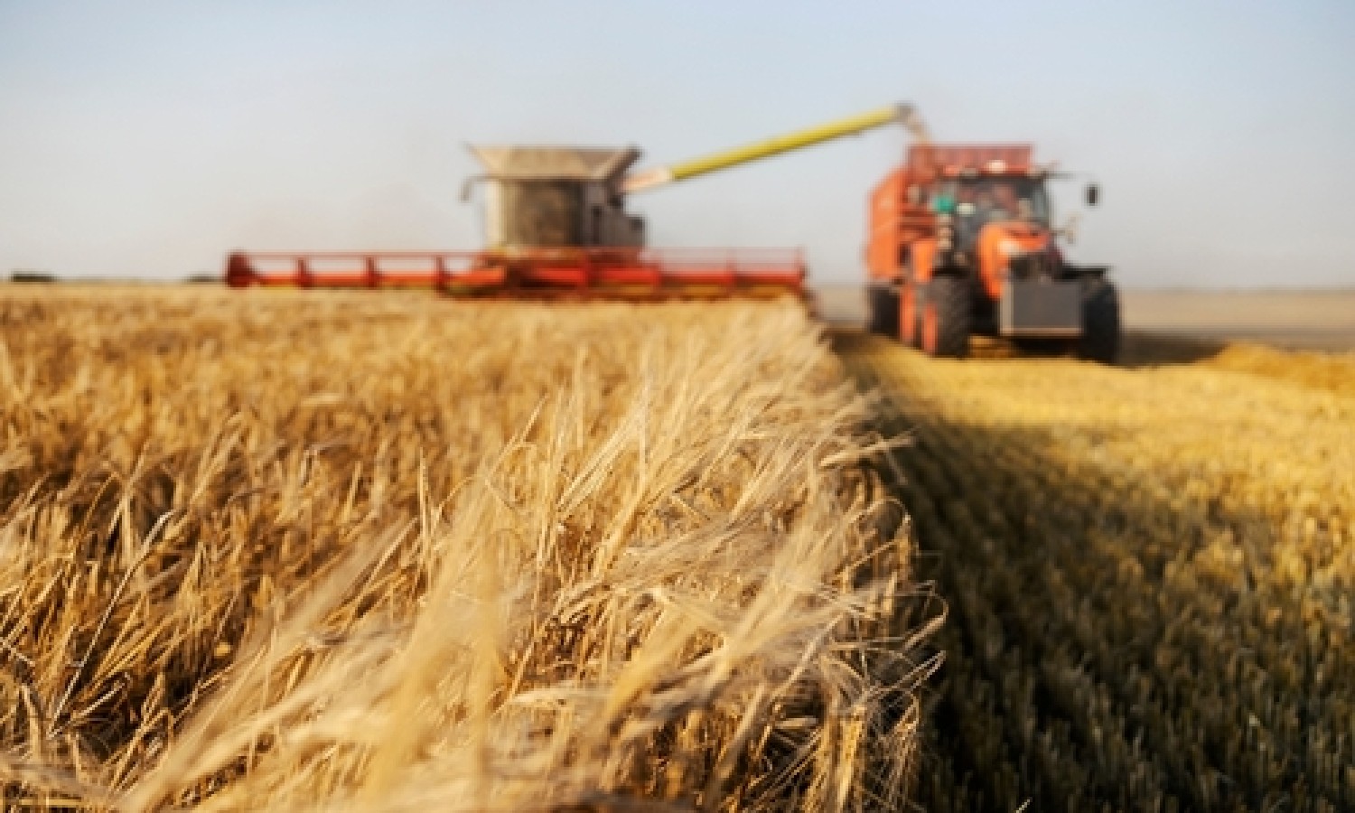 In arrivo 136 milioni contro il rincaro dei fertilizzanti