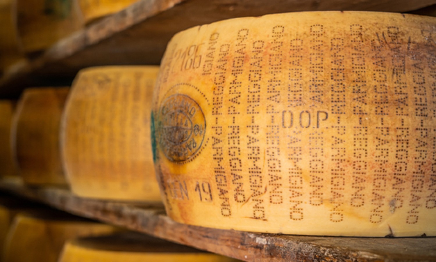 Tecnica: Parmigiano Reggiano, la resa casearia 
