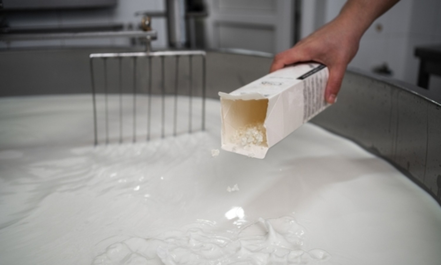 Starter di fermentazione: un approfondimento sui brevetti