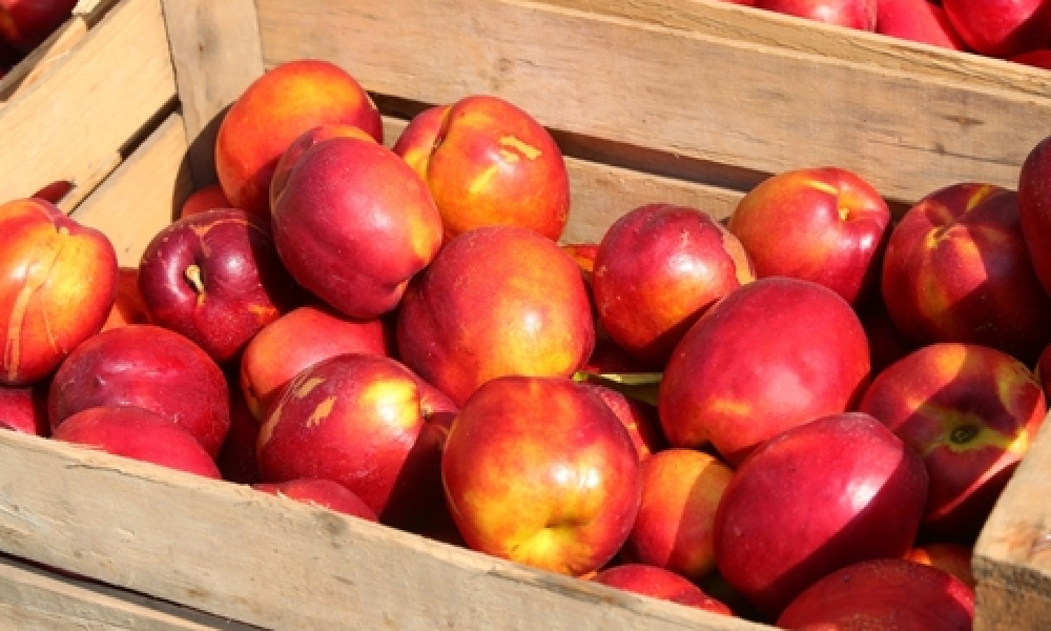 Frutta: primavera positiva, in arrivo prodotti di qualità