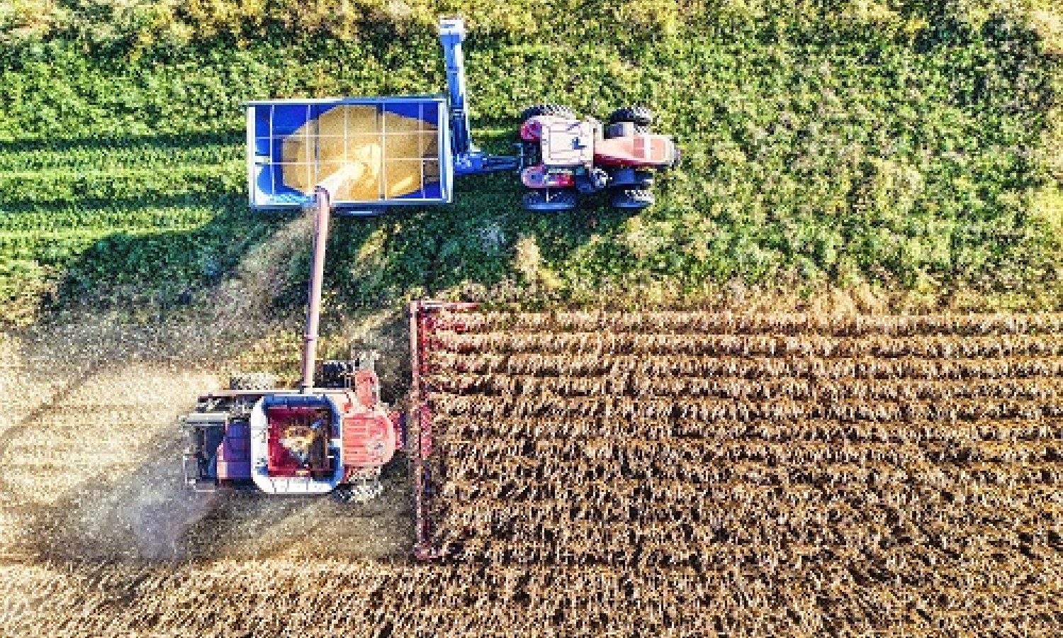 Promozione agroalimentare UE, 20 programmi italiani approvati