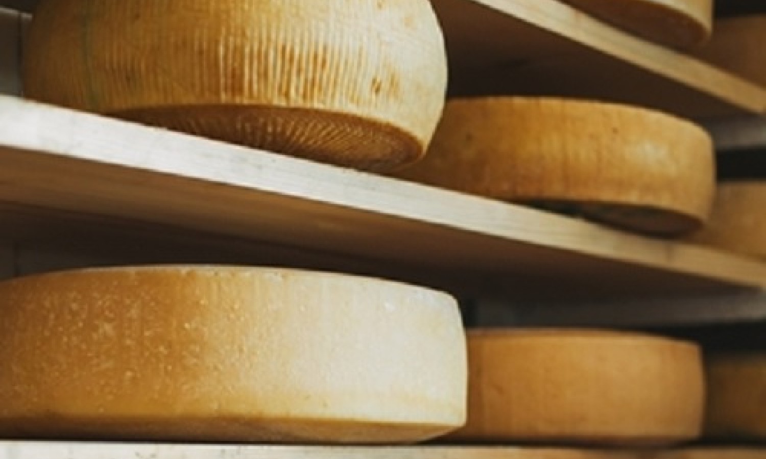 Ecco come gli amminoacidi danno più sapore al formaggio