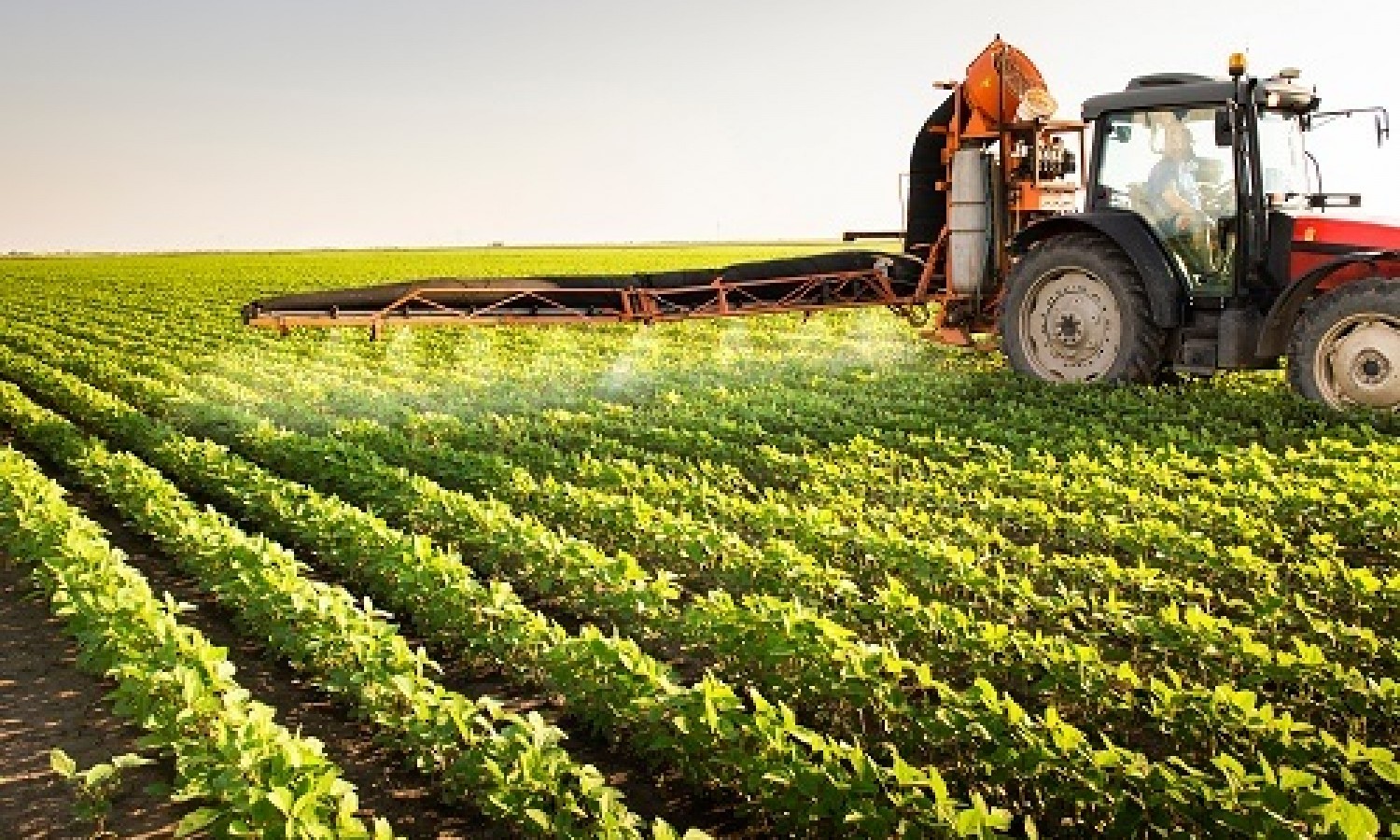 Sostegni: oltre 2 miliardi per l'agricoltura