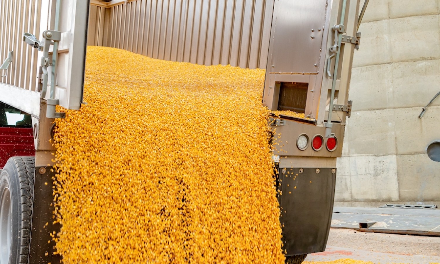 La filiera alimentare a un passo dallo scacco matto
