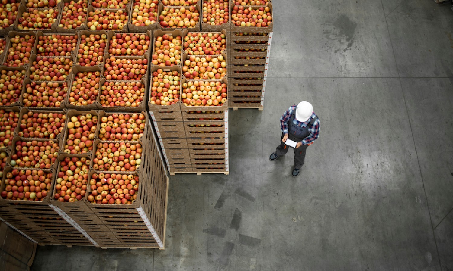 Vendite alimentari in caduta: necessario puntare sull’export