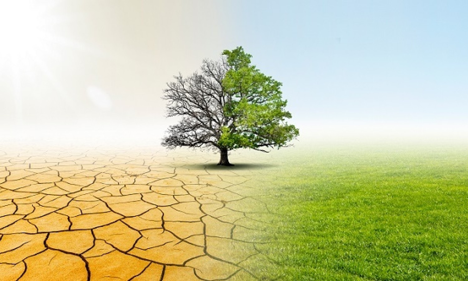Desertificazione e siccità: una questione globale